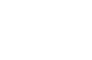 Logotipo APSA